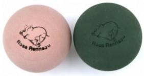 mtec_rosa_rennsau_bild_text.jpg